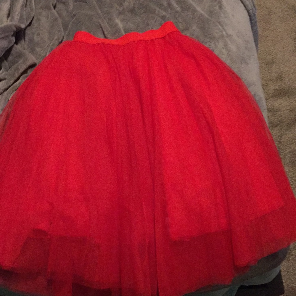 Tulle Skirt